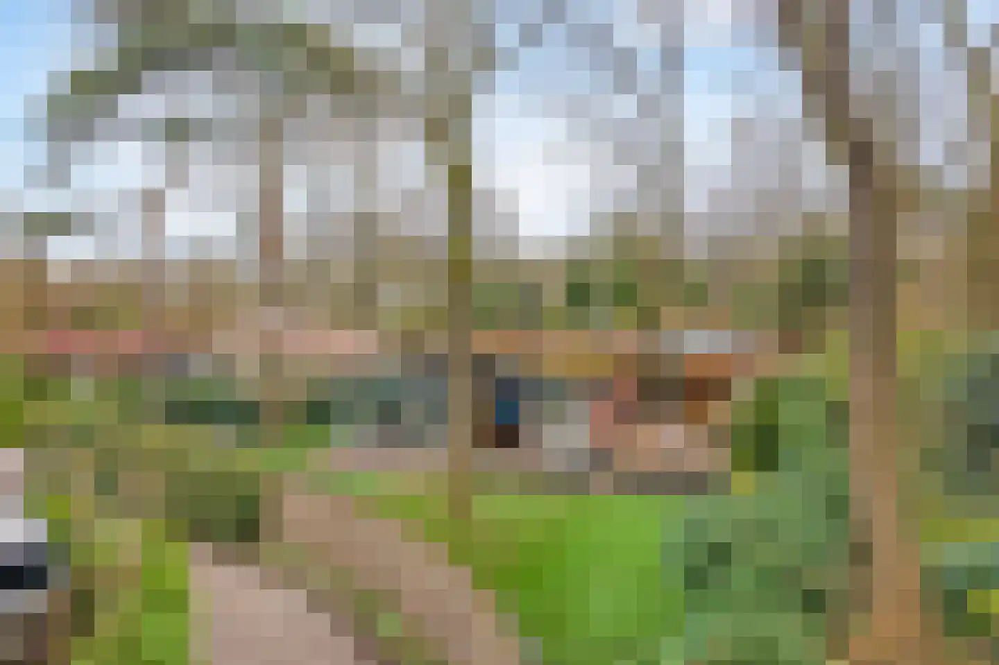 Barchman Wuytierslaan 81 48 Amersfoort thumbnail 31