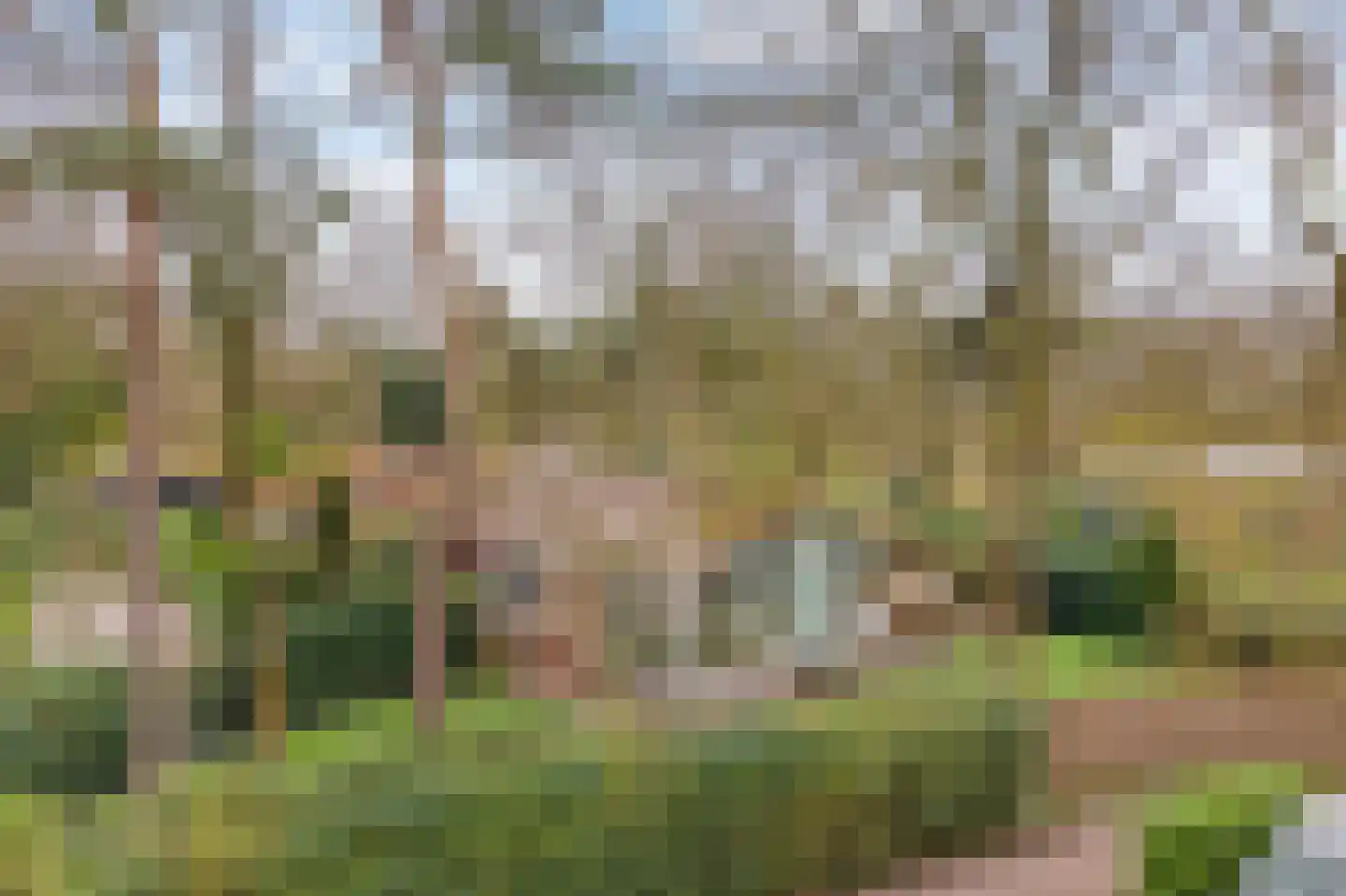 Barchman Wuytierslaan 81 48 Amersfoort thumbnail 32
