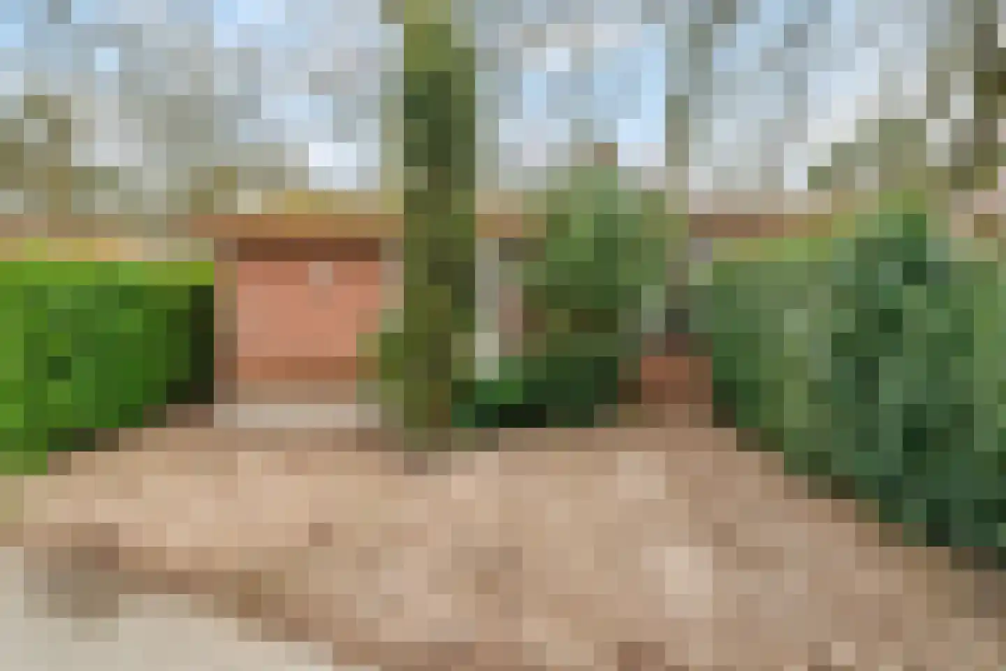 Barchman Wuytierslaan 81 48 Amersfoort thumbnail 38