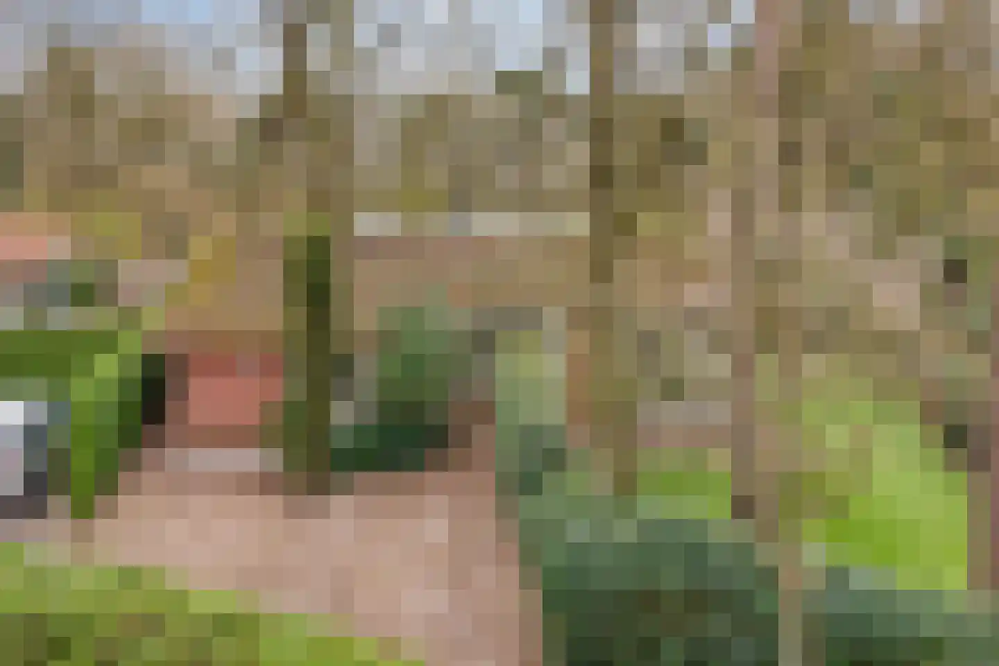 Barchman Wuytierslaan 81 48 Amersfoort thumbnail 39