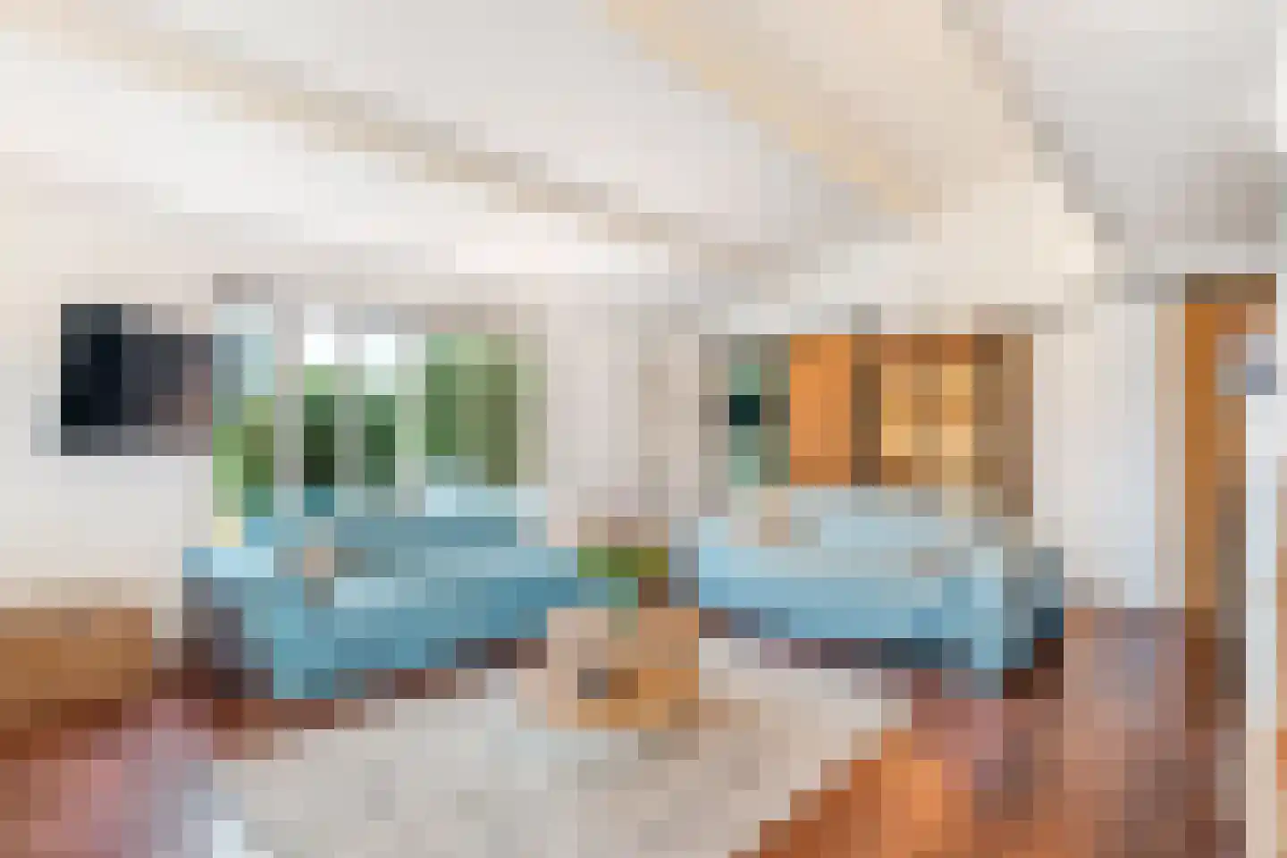 Barchman Wuytierslaan 81 48 Amersfoort thumbnail 4