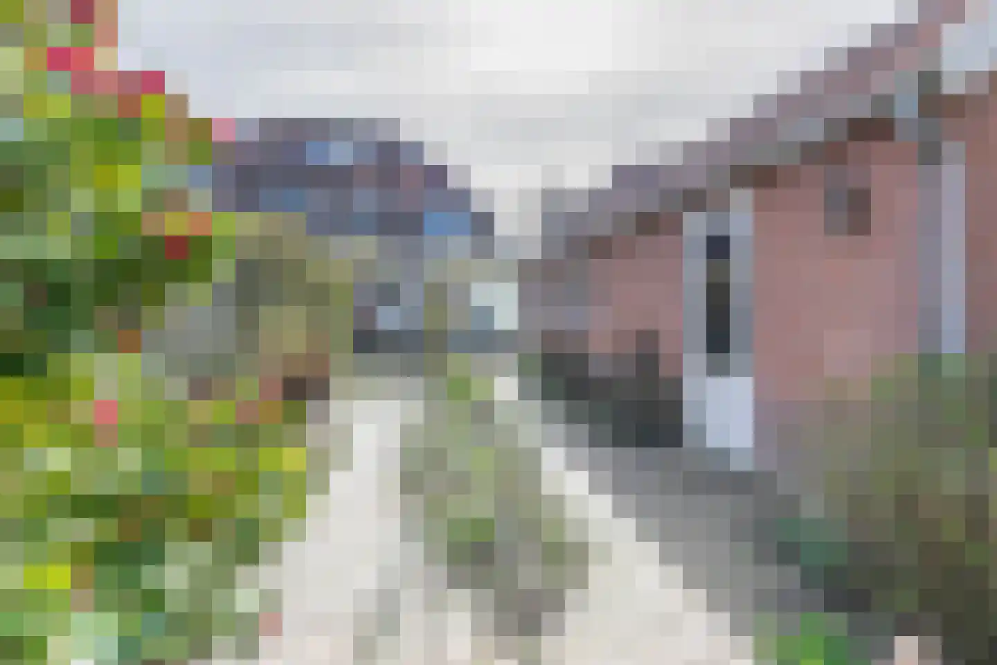 Barchman Wuytierslaan 9 Amersfoort thumbnail 21