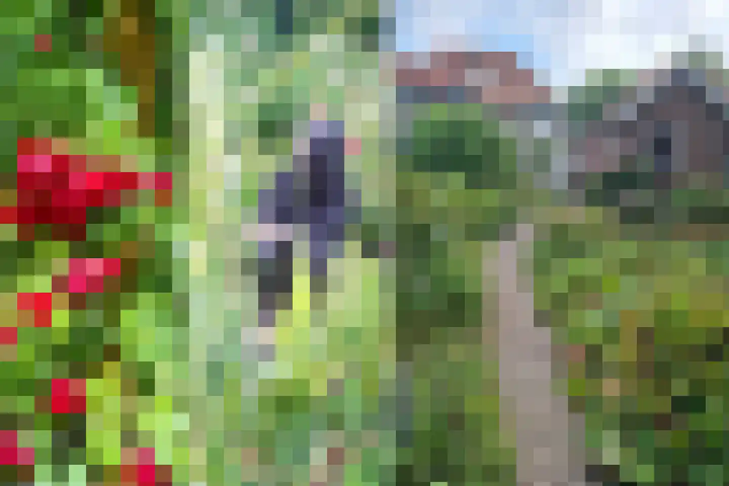 Barchman Wuytierslaan 9 Amersfoort thumbnail 22