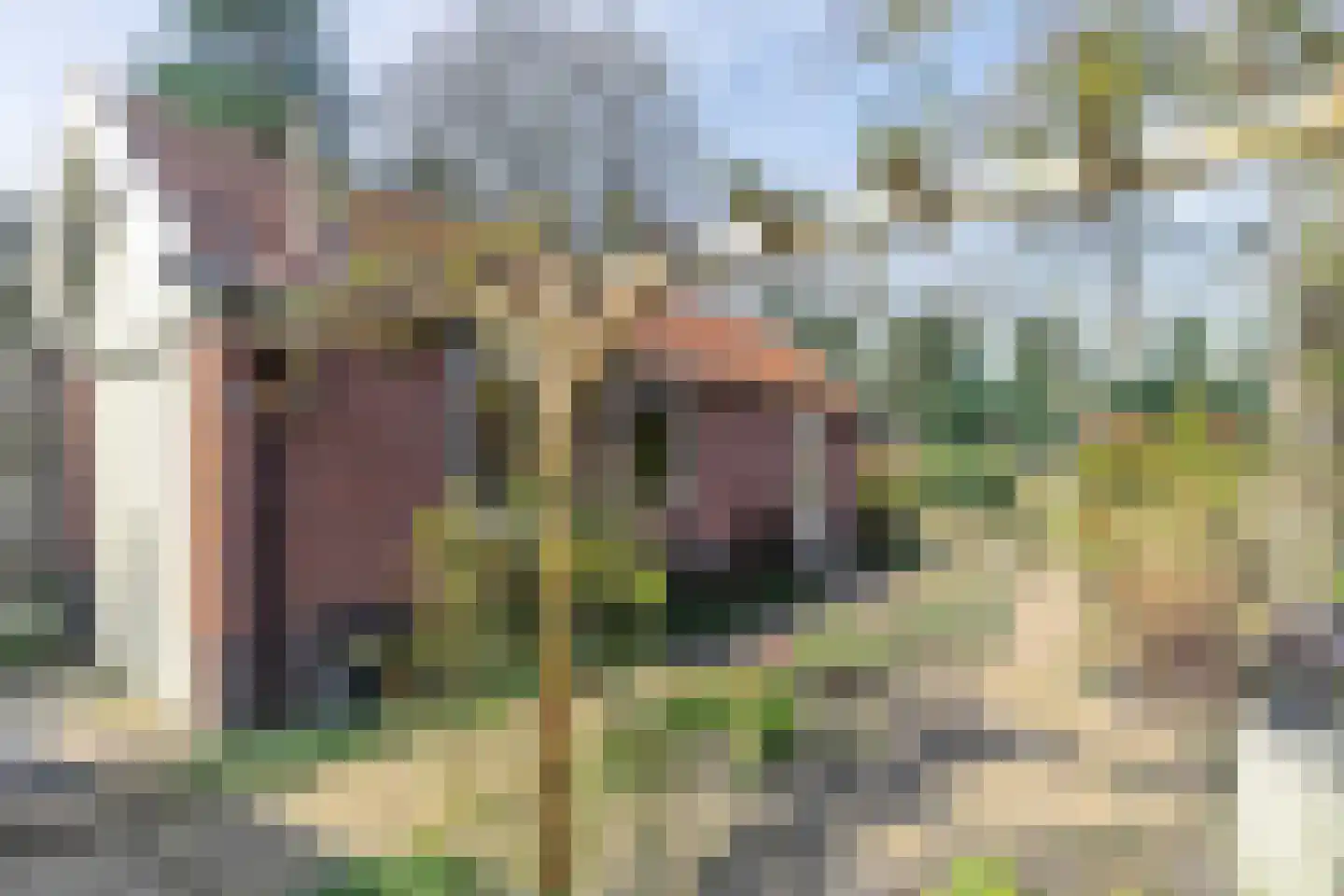 Barchman Wuytierslaan 9 Amersfoort thumbnail 4