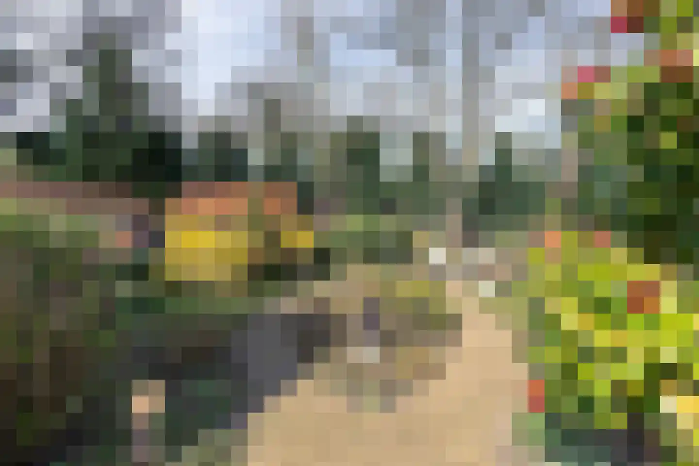 Barchman Wuytierslaan 9 Amersfoort thumbnail 43