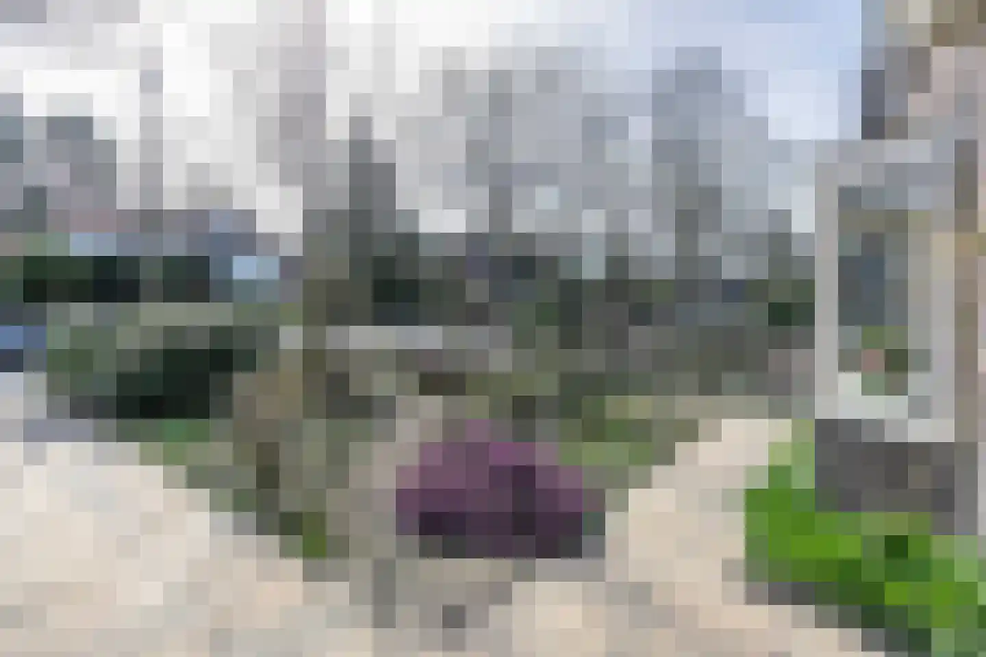 Barchman Wuytierslaan 9 Amersfoort thumbnail 6