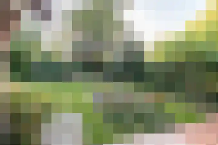 Barchman Wuytierslaan 92 Amersfoort thumbnail 28
