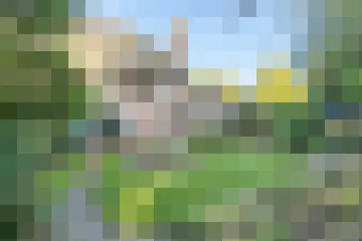 Barchman Wuytierslaan 92 Amersfoort thumbnail 29