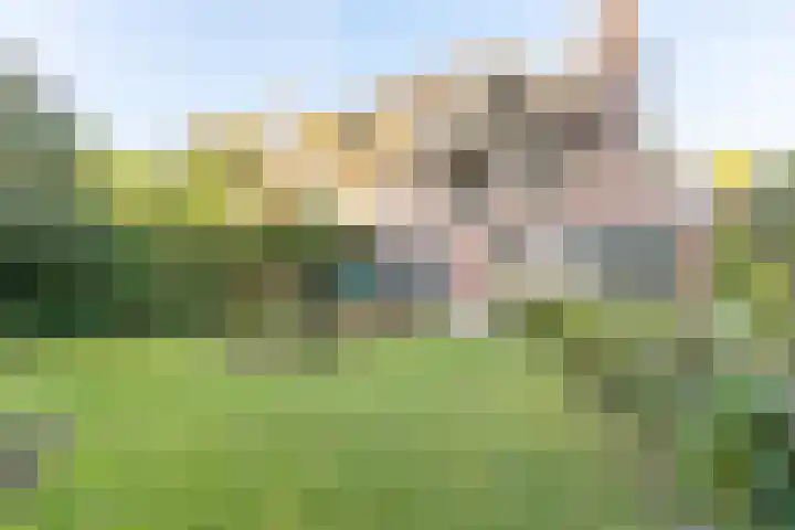 Barchman Wuytierslaan 92 Amersfoort thumbnail 30