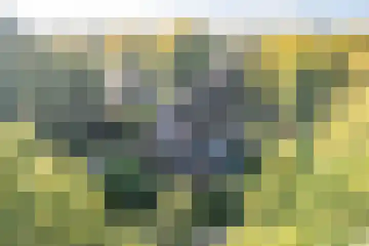 Barchman Wuytierslaan 92 Amersfoort thumbnail 4