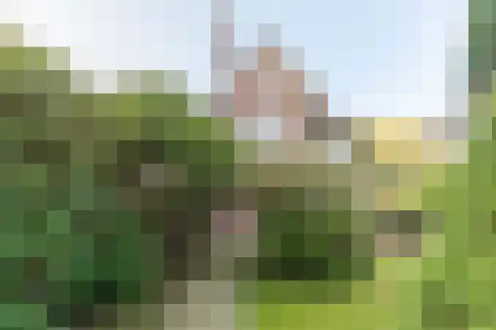 Barchman Wuytierslaan 92 Amersfoort thumbnail 57