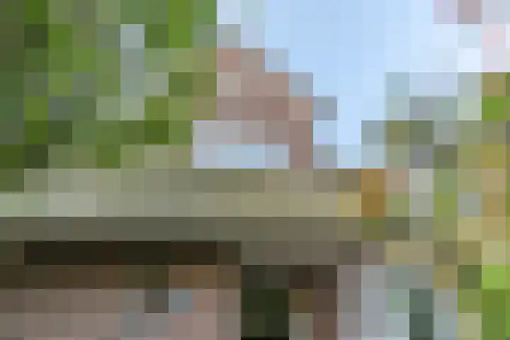 Barchman Wuytierslaan 92 Amersfoort thumbnail 6