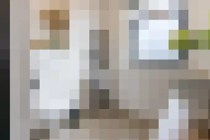 Barchvenne 4 a Barchem thumbnail 20