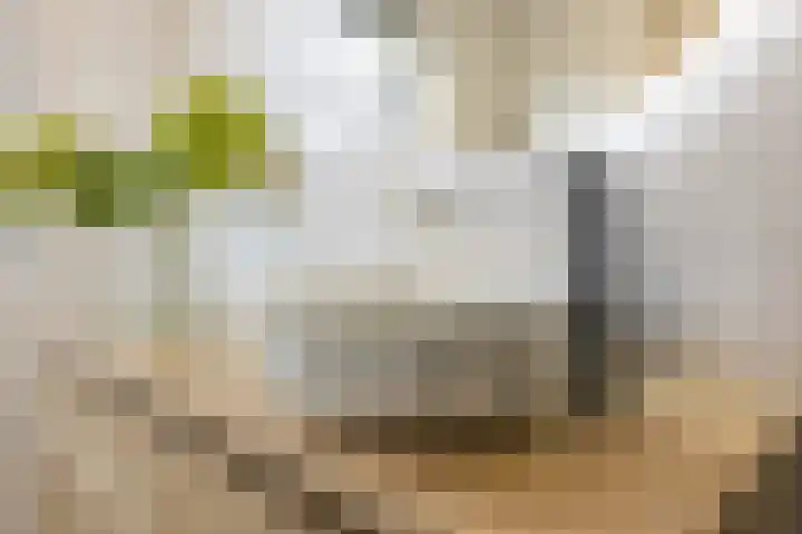 Barchvenne 4 a Barchem thumbnail 21