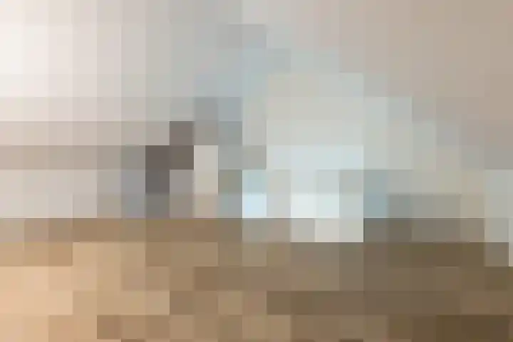 Barchvenne 4 a Barchem thumbnail 24