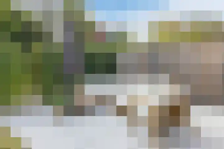Barchvenne 4 a Barchem thumbnail 26