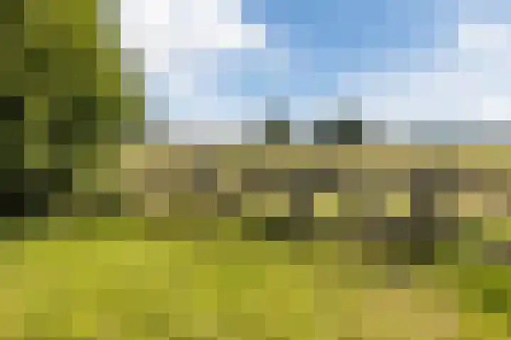 Barchvenne 4 a Barchem thumbnail 31