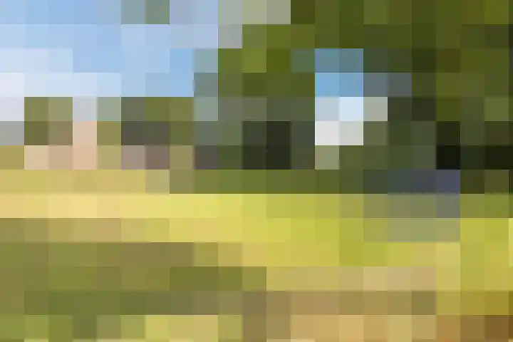 Barchvenne 4 a Barchem thumbnail 33