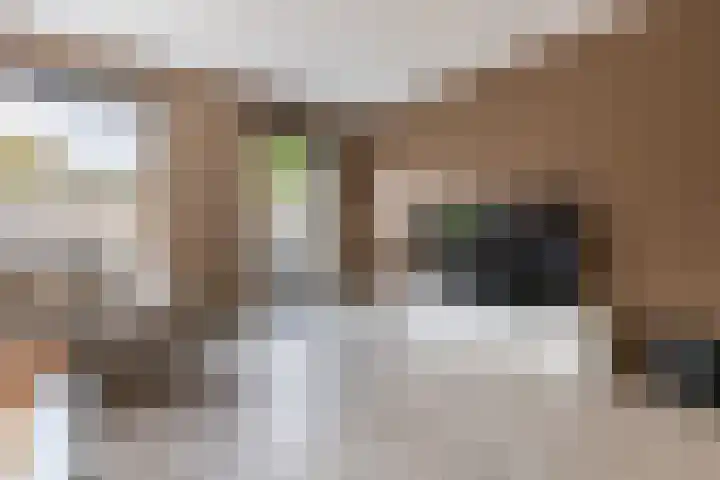 Barchvenne 4 a Barchem thumbnail 5
