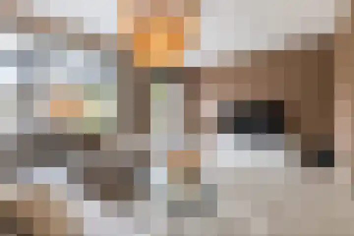 Barchvenne 4 a Barchem thumbnail 6