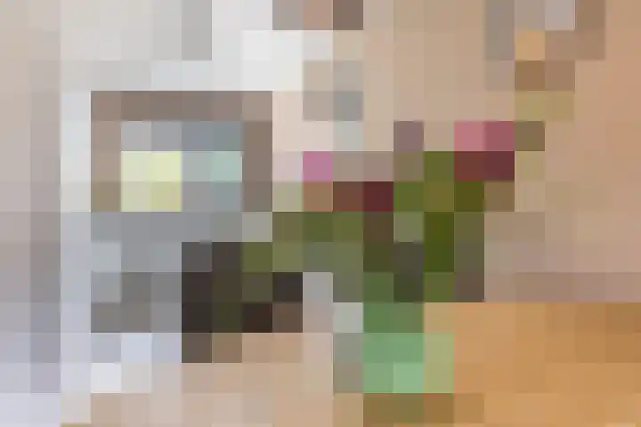 Barchvenne 4 a Barchem thumbnail 8