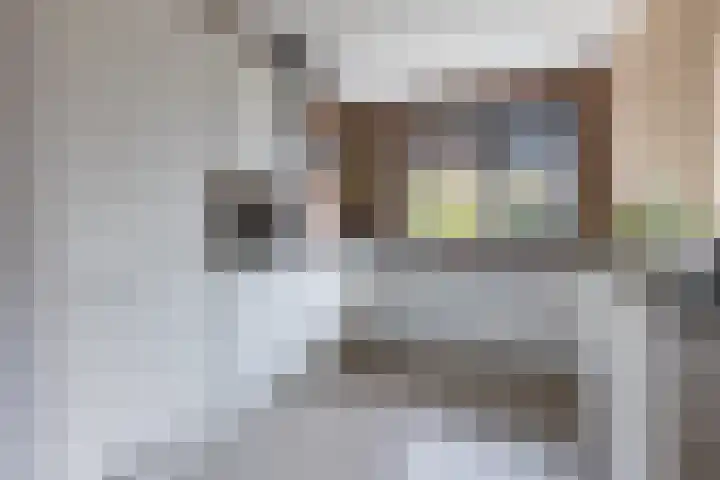 Barchvenne 4 a Barchem thumbnail 9