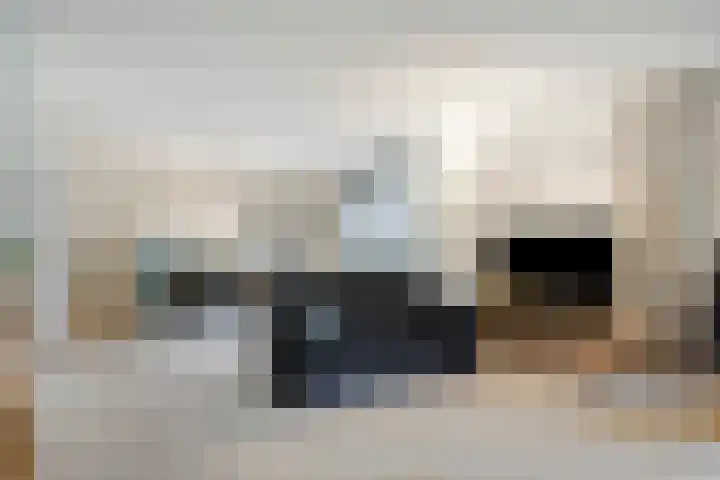 Barckemalaan 30 Tolbert thumbnail 11