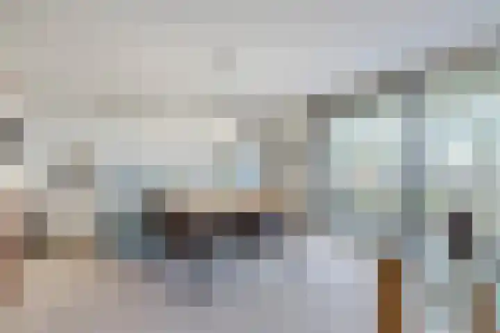 Barckemalaan 30 Tolbert thumbnail 14