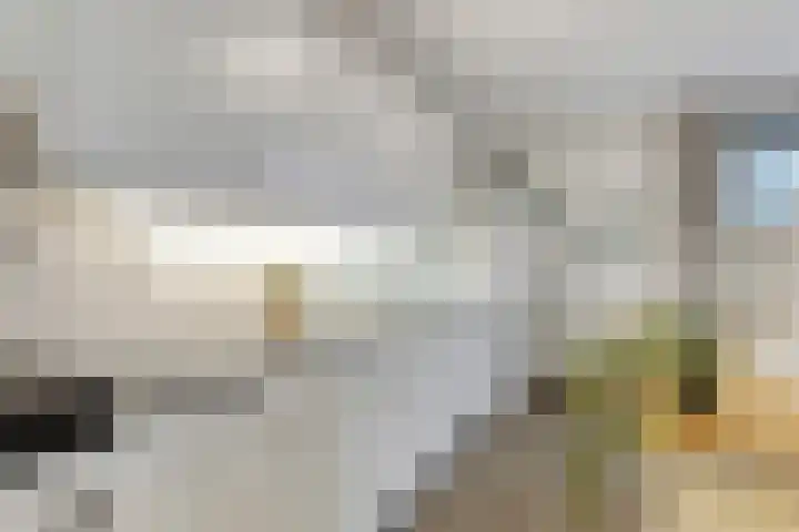 Barckemalaan 30 Tolbert thumbnail 16