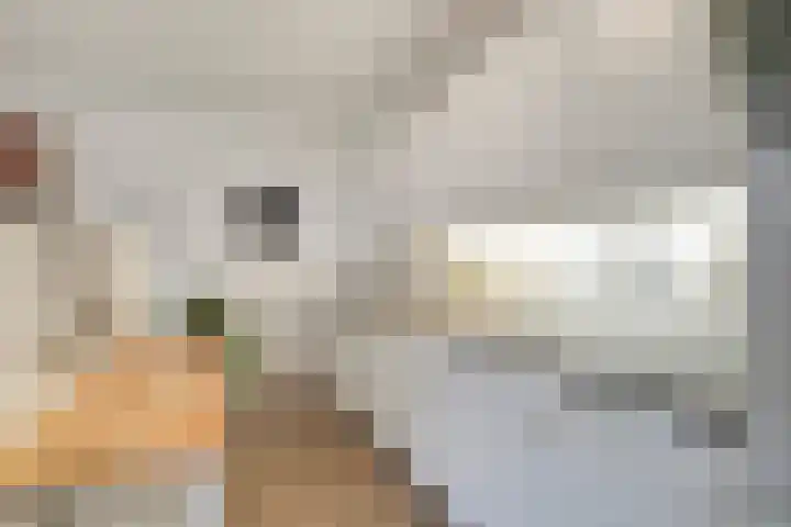 Barckemalaan 30 Tolbert thumbnail 17