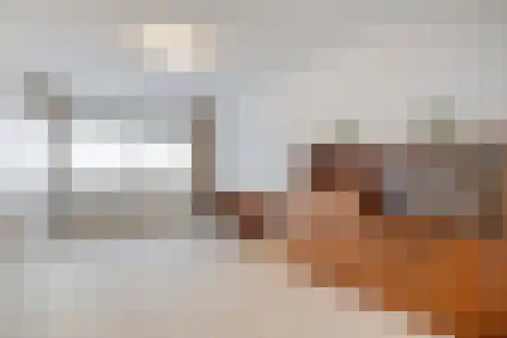 Barckemalaan 30 Tolbert thumbnail 20