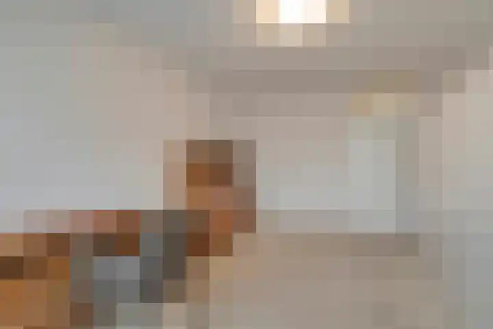 Barckemalaan 30 Tolbert thumbnail 21
