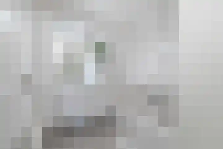 Barckemalaan 30 Tolbert thumbnail 24