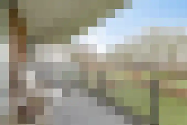 Barckemalaan 30 Tolbert thumbnail 28
