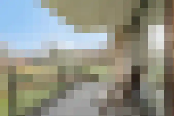 Barckemalaan 30 Tolbert thumbnail 30