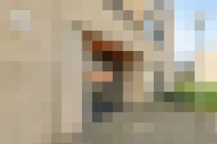 Barckemalaan 30 Tolbert thumbnail 36