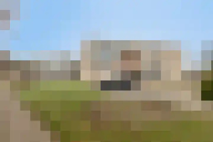 Barckemalaan 30 Tolbert thumbnail 44