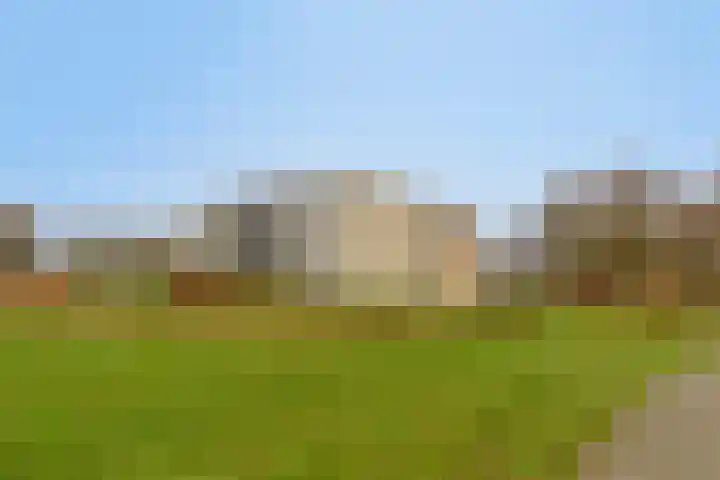 Barckemalaan 30 Tolbert thumbnail 47