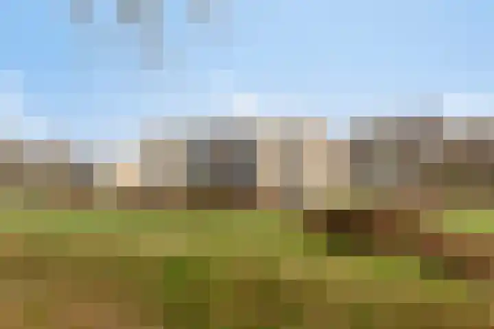Barckemalaan 30 Tolbert thumbnail 48