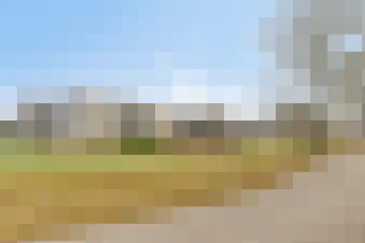 Barckemalaan 30 Tolbert thumbnail 50