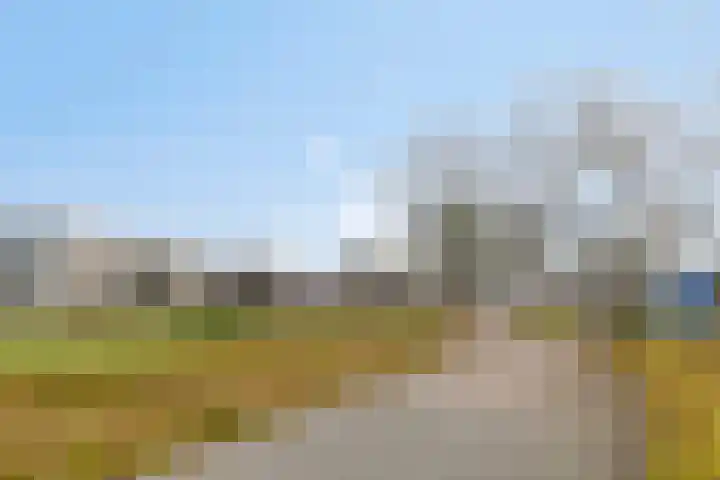 Barckemalaan 30 Tolbert thumbnail 51