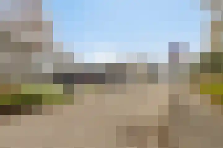 Barckemalaan 30 Tolbert thumbnail 52