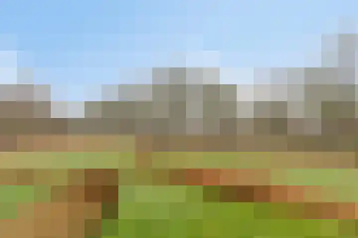 Barckemalaan 30 Tolbert thumbnail 53