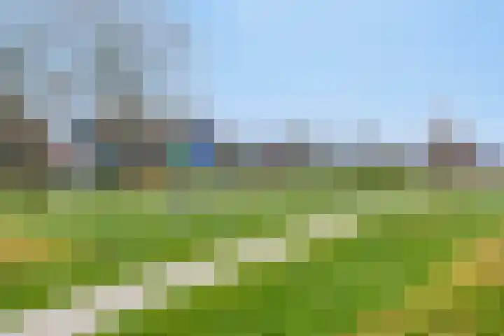 Barckemalaan 30 Tolbert thumbnail 55