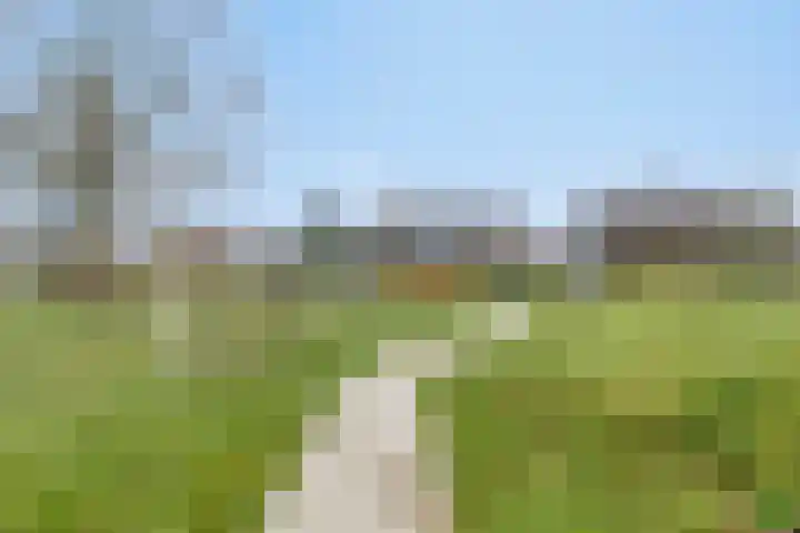 Barckemalaan 30 Tolbert thumbnail 56