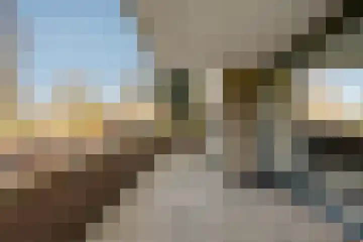 Barckemalaan 46 Tolbert thumbnail 11