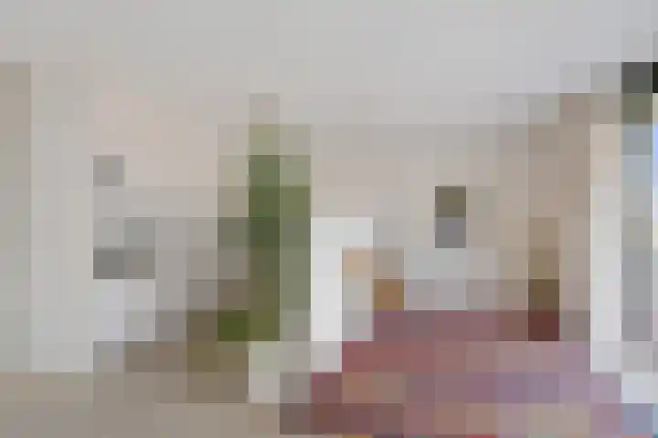 Barckemalaan 46 Tolbert thumbnail 13