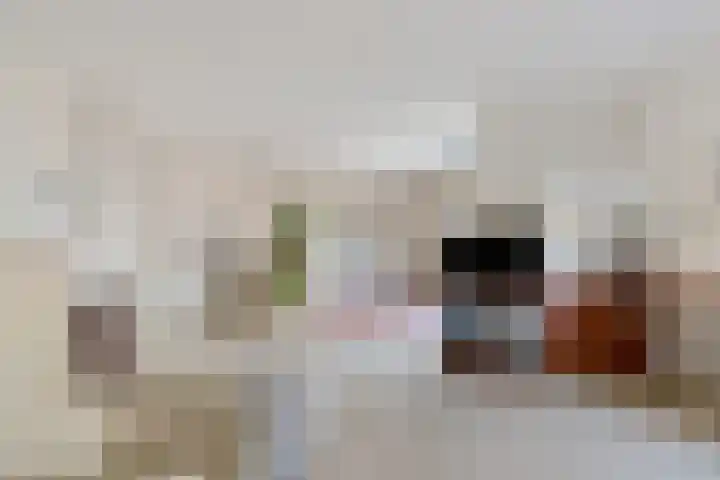 Barckemalaan 46 Tolbert thumbnail 9