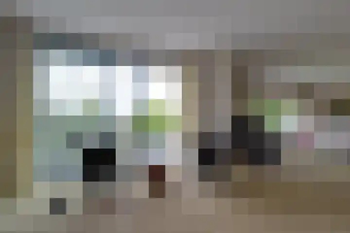 Barckemalaan 58 Tolbert thumbnail 11