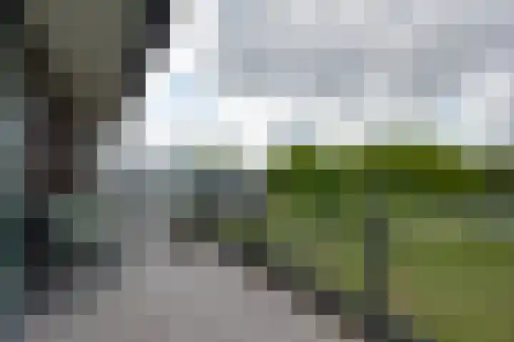 Barckemalaan 58 Tolbert thumbnail 12